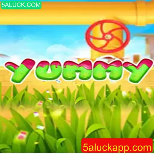 Desvendando o Fascinante Jogo 'Yummy': Introdução, Regras e Mais